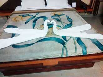 Hotel Vijan Palace, Jabalpur 5
